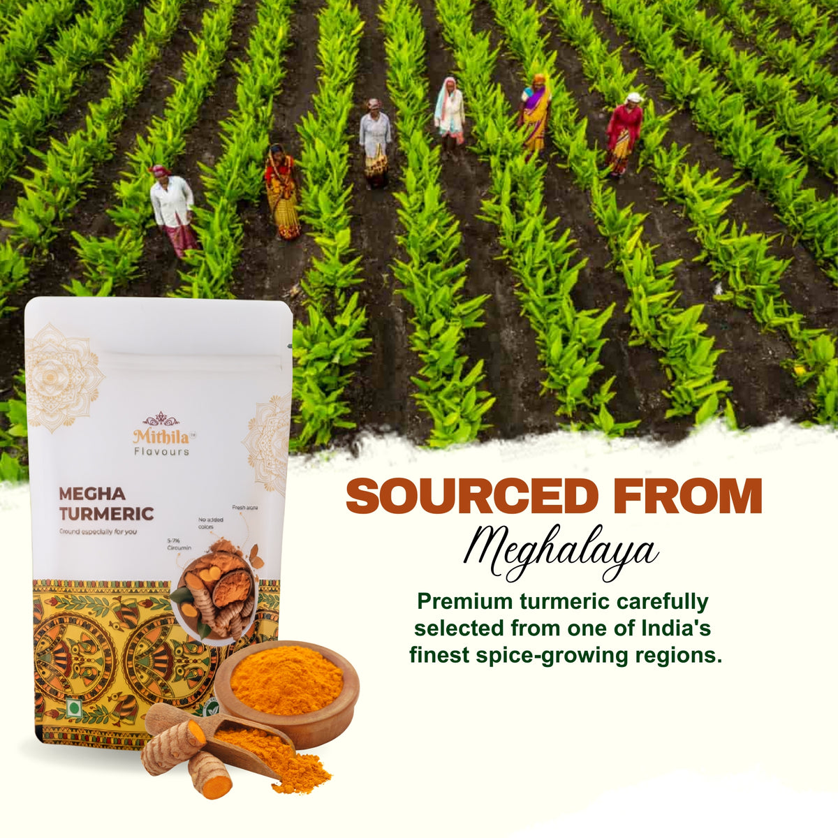 Megha Turmeric